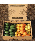 Pack aguacate, naranja, mandarina y limón