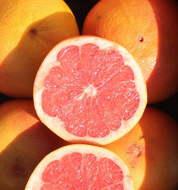 Buy Grapefruits online