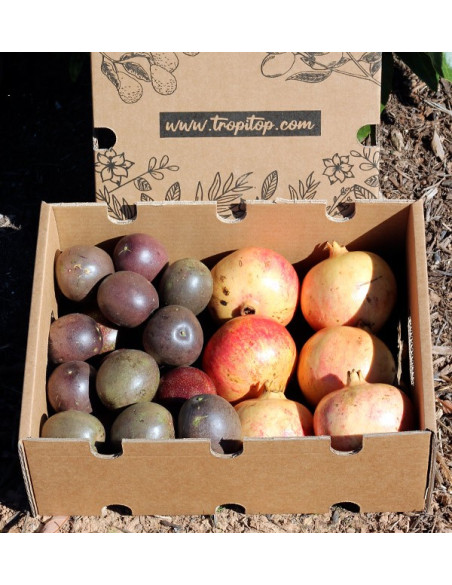 Comprar fruta de la pasión y granadas online en Tropitop