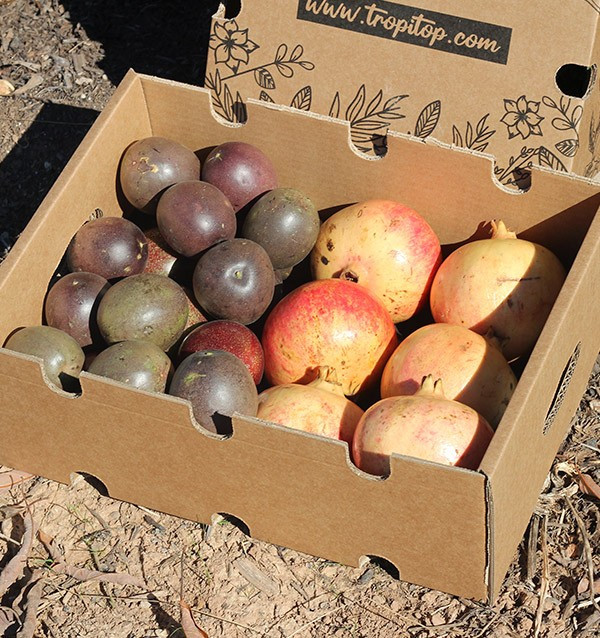 Comprare frutta della passione e melograni online su Tropitop