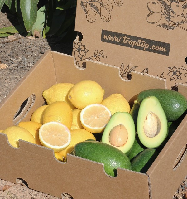 Buy mix avocados bacon and lemons 2