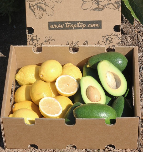 Buy mix avocados bacon and lemons