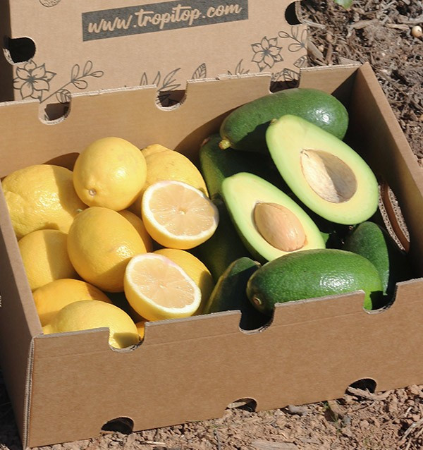 Buy mix avocados bacon and lemons