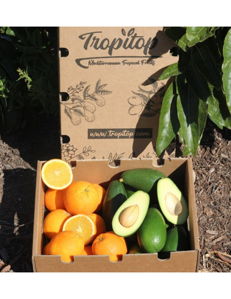 Buy Avocados bacon and oranges