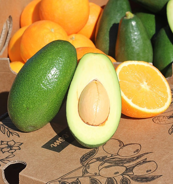 Cesta de naranjas y aguacates piel lisa online