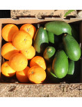 Smooth-skinned avocados and oranges pack
