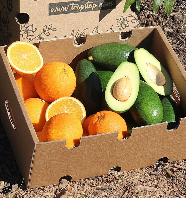 Acheter des avocats bacon et des oranges