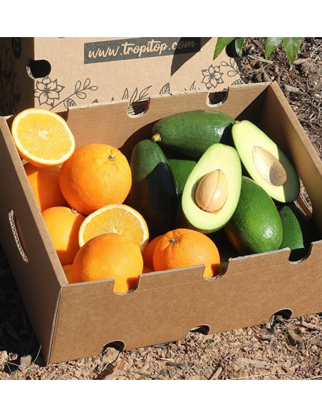 Orangen und Avocados Bacon