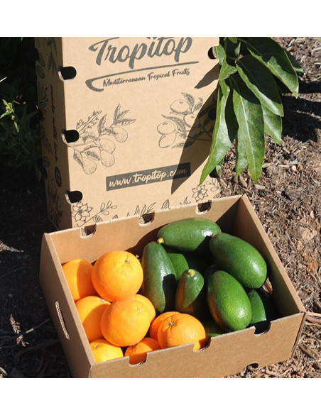 Buy Avocados bacon and oranges