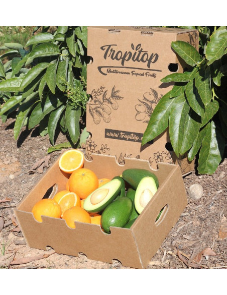 Cesta de naranjas y aguacates piel lisa online