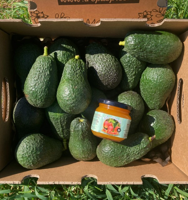 Hass avocados and mango jam