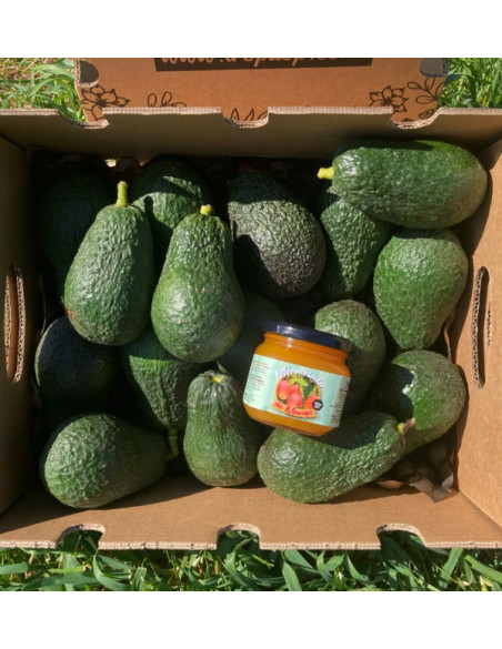 Avocats Hass et confiture de mangue