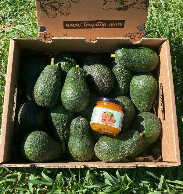 AGUACATES HASS Y MERMELADA DE MANGO