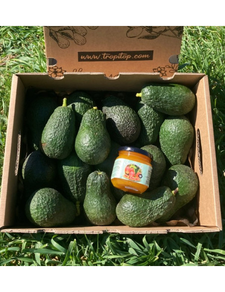 AGUACATES HASS Y MERMELADA DE MANGO