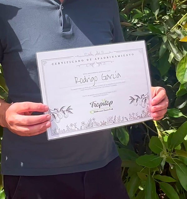 Übernimm eine Patenschaft für einen Baum