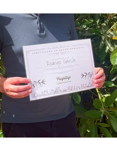 Patrocina uma árvore