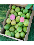 Guava