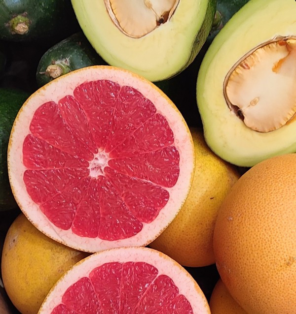 Avocados Bacon und Grapefruits