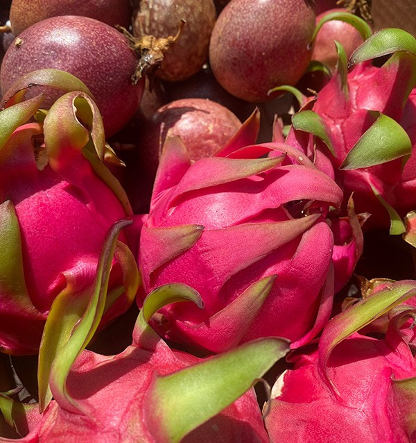 Pack de Maracujá e Pitaya Orgânicos | Compre Fruta Tropical Online - Tropitop