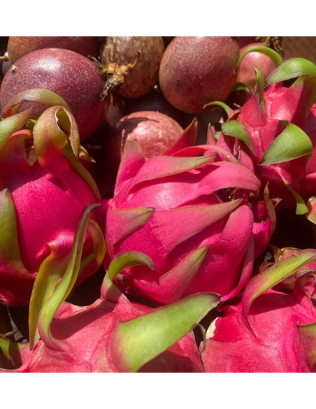 Organic Passion Fruit & Pitahaya Pack | Buy Tropical Fruit Online - Tropitop