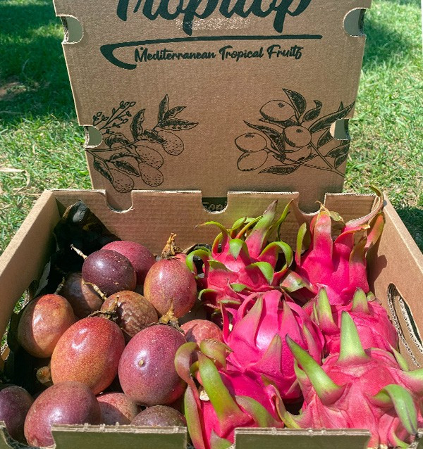 Box Frutto della Passione e Pitahaya Biologici | Acquista Frutta Tropicale Online - Tropitop