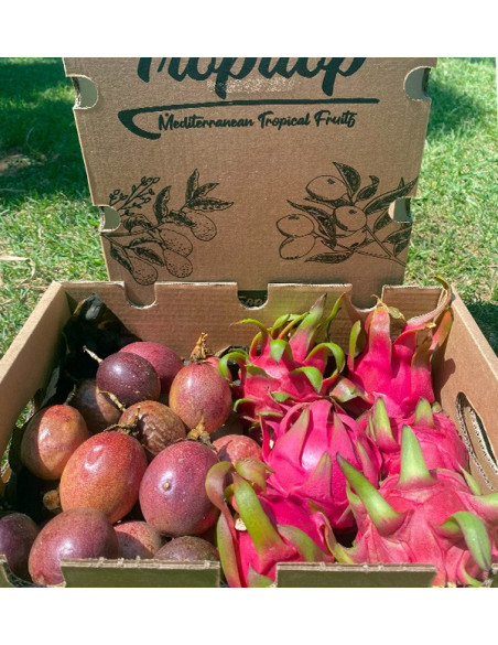 Bio-Paket Passionsfrucht und Pitahaya | Tropische Früchte online kaufen – Tropitop