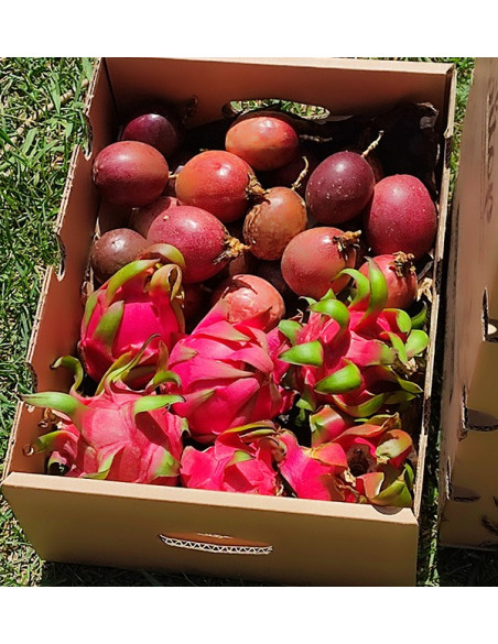 Box Frutto della Passione e Pitahaya Biologici | Acquista Frutta Tropicale Online - Tropitop