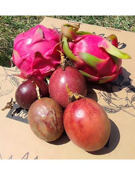 Organic Passion Fruit & Pitahaya Pack | Buy Tropical Fruit Online - Tropitop