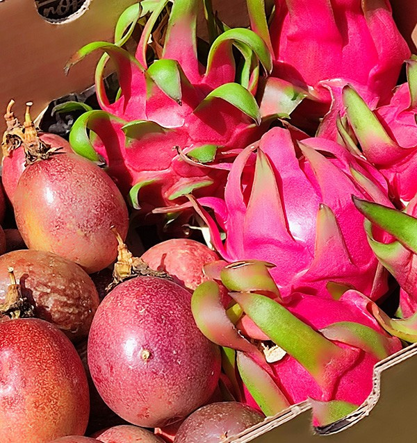 Pack Fruit de la Passion et Pitaya Bio | Achetez des Fruits Tropicaux - Tropitop