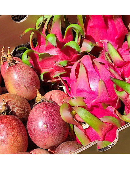 Bio-Paket Passionsfrucht und Pitahaya | Tropische Früchte online kaufen – Tropitop