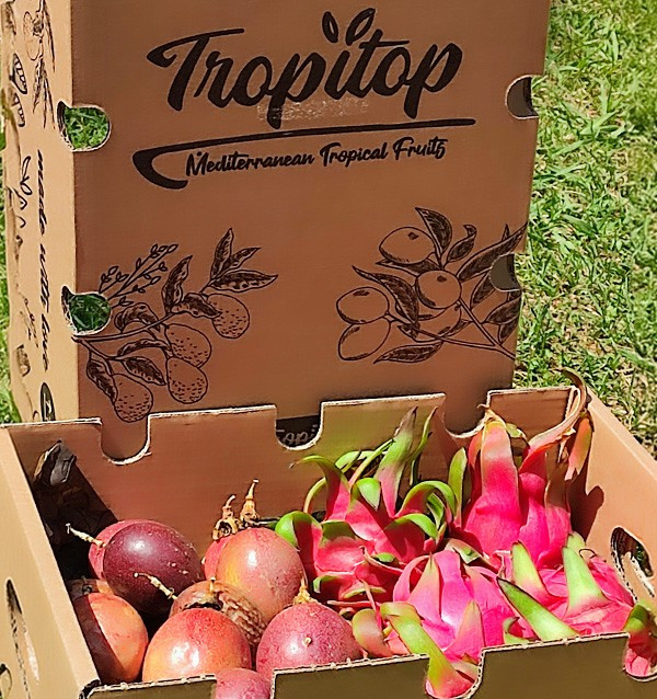 Bio-Paket Passionsfrucht und Pitahaya | Tropische Früchte online kaufen – Tropitop