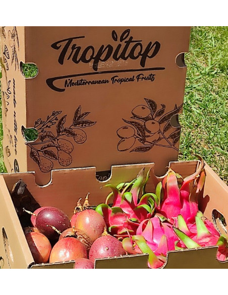 Maracuya y Pitahaya