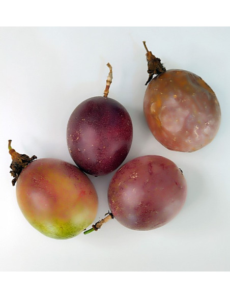 Bio-Paket Passionsfrucht und Pitahaya | Tropische Früchte online kaufen – Tropitop