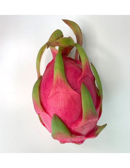 Pack de Maracujá e Pitaya Orgânicos | Compre Fruta Tropical Online - Tropitop