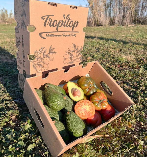 Acheter Avocat Hass et Tomate Raf en ligne chez Tropitop