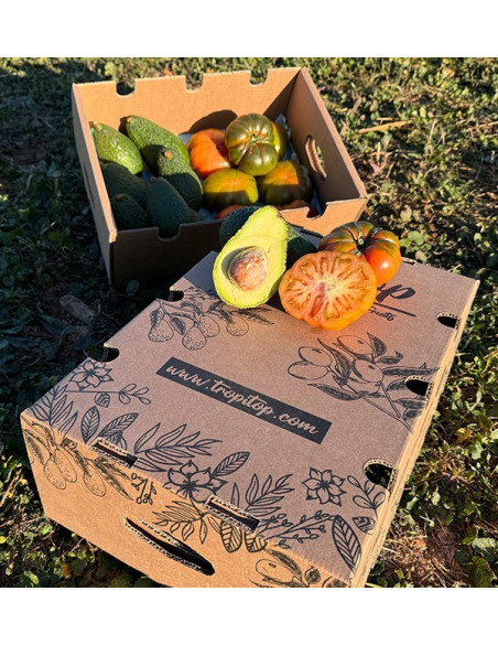 Hass Avocado und Raf Tomaten online bei Tropitop kaufen