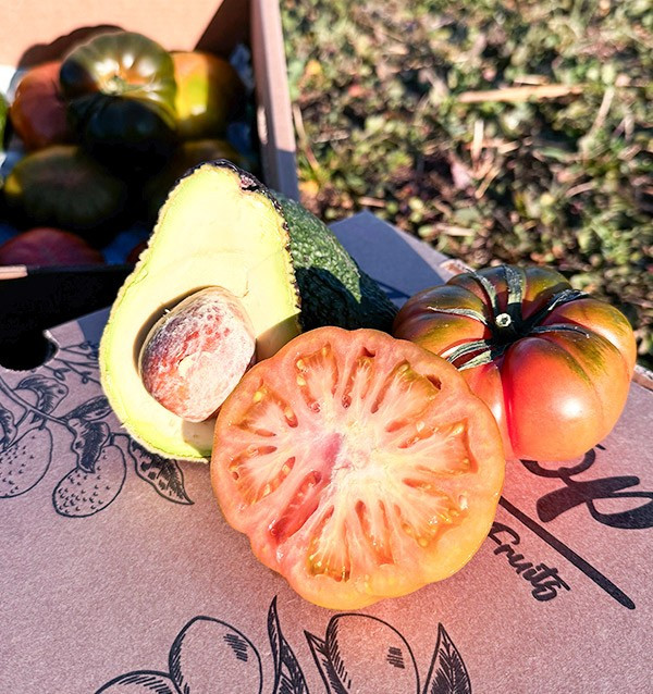 Compre Abacate Hass e Tomate Raf Online na Tropitop