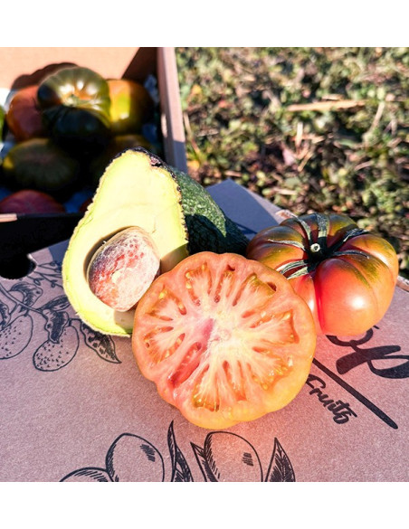 Acheter Avocat Hass et Tomate Raf en ligne chez Tropitop