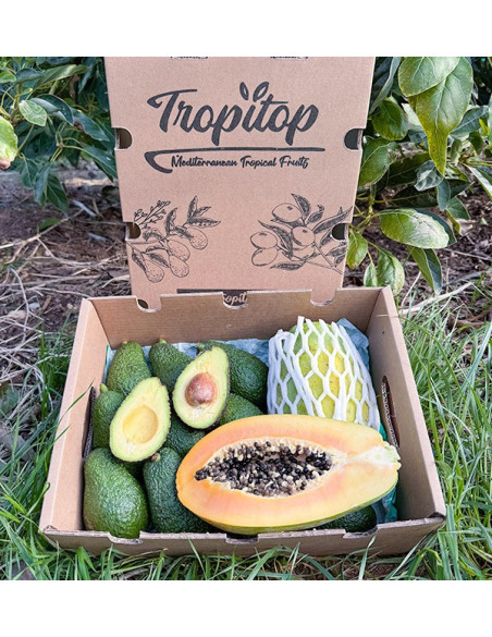 Comprar Abacate Hass e Mamão | Sabor Cremoso e Exótico na Tropitop