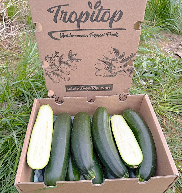 Comprar Calabacín Negro o Verde Online en Tropitop