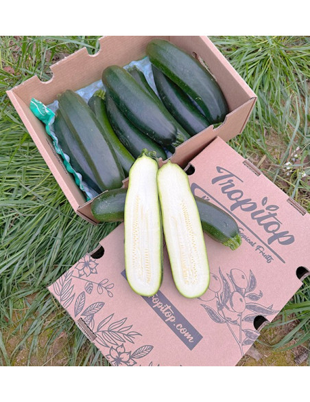 Buy Green or Black Zucchini Online at Tropitop