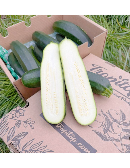 Buy Green or Black Zucchini Online at Tropitop