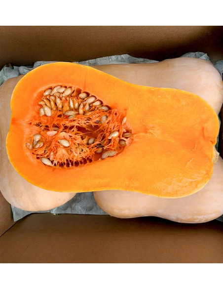 Acheter de la courge cacahuète en ligne chez Tropitop