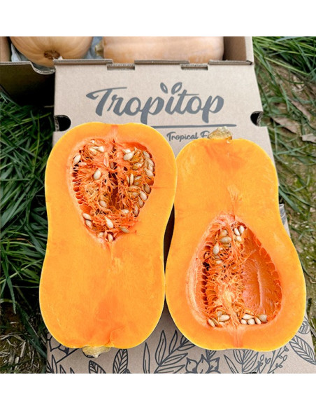 Acheter de la courge cacahuète en ligne chez Tropitop
