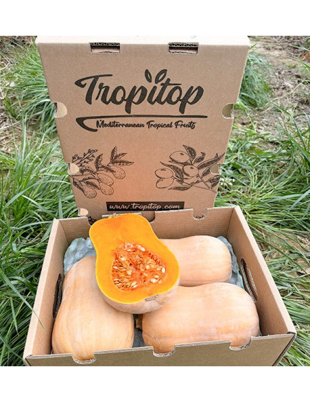 Acheter de la courge cacahuète en ligne chez Tropitop