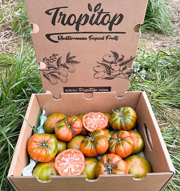 Buy Raf Tomato Online at Tropitop