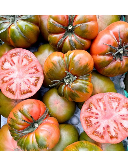Buy Raf Tomato Online at Tropitop