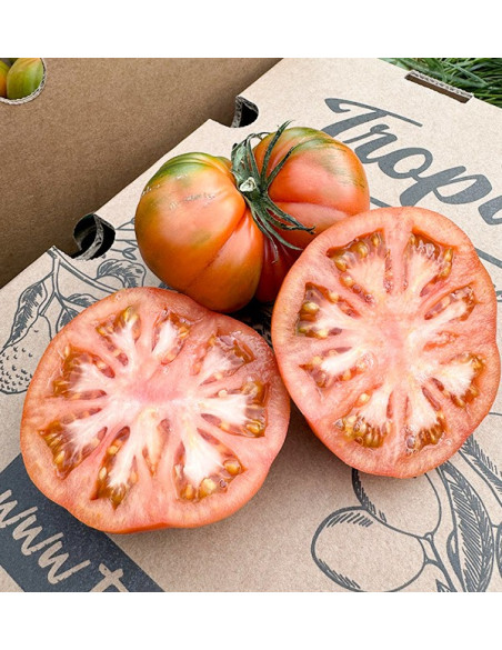 Comprar Tomate Raf Online na Tropitop