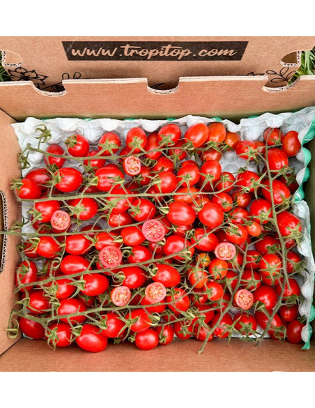 Buy Cherry Tomatoes on the Vine Online