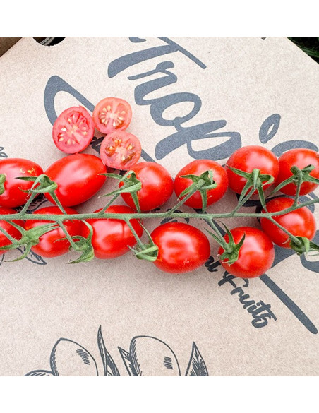 Acquista Pomodori Cherry on the Vine Online